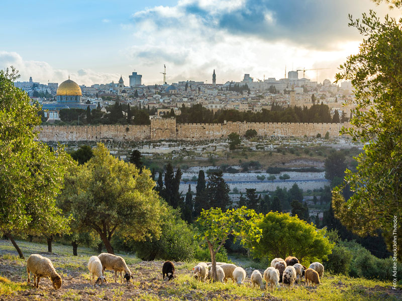 Foto: Adobe Stock/John Theodor