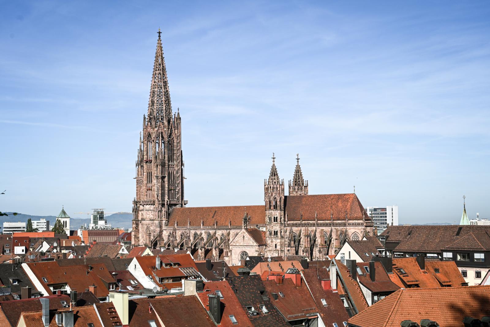 Freiburger Münster
