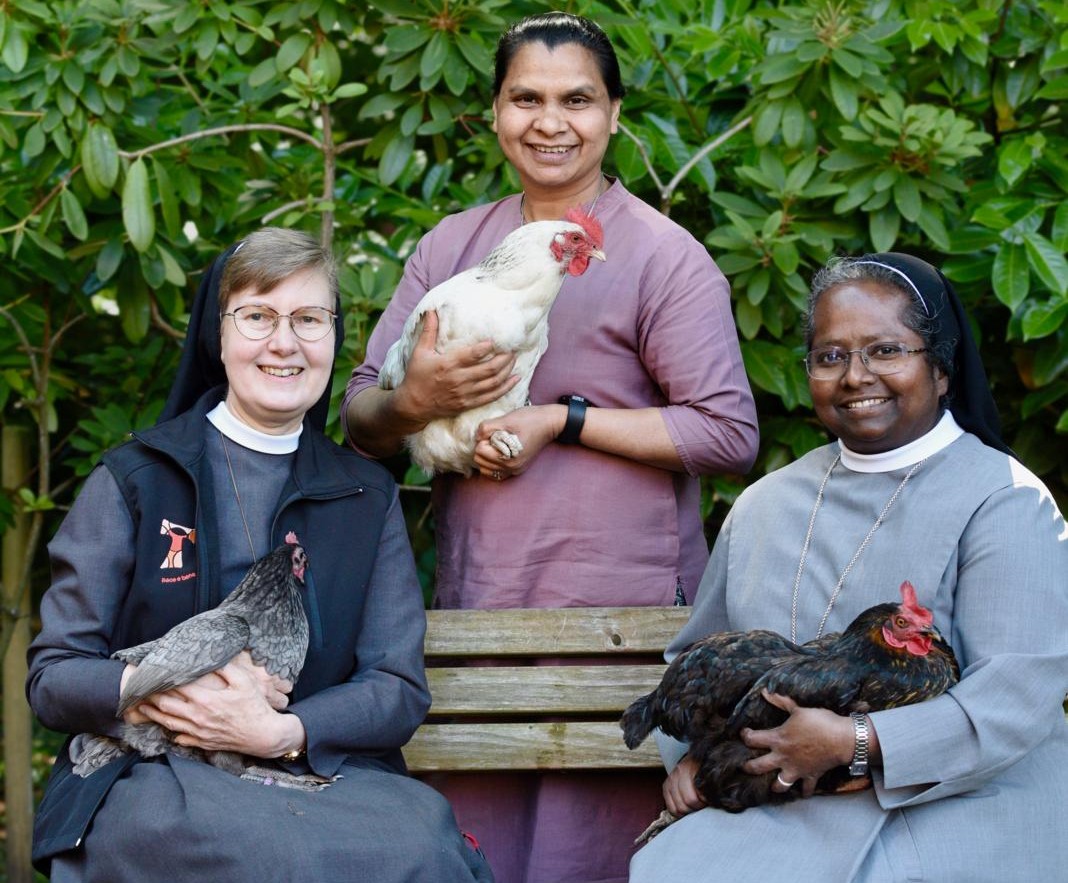 Tierhaltung im Kloster