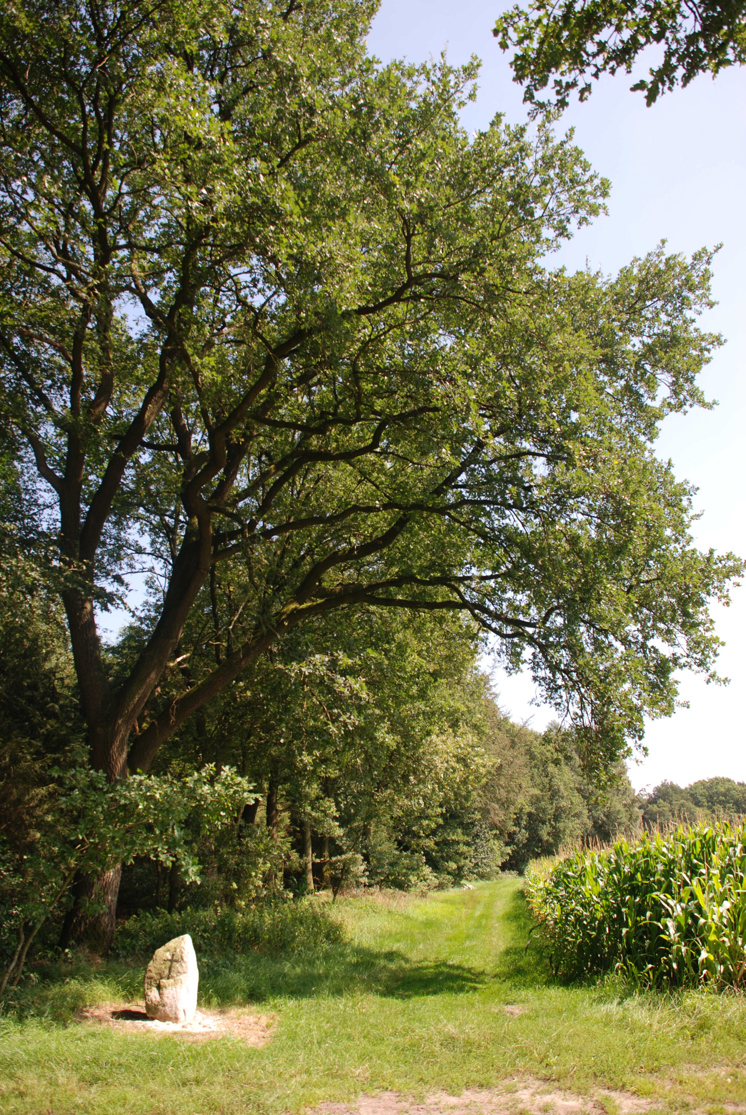 wanderweg