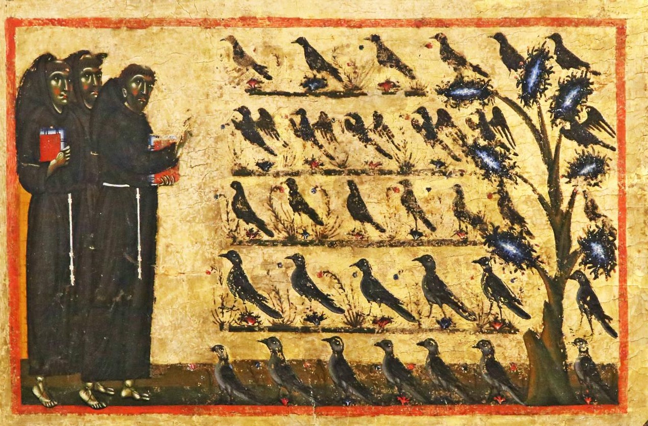 Franziskus, Vögel