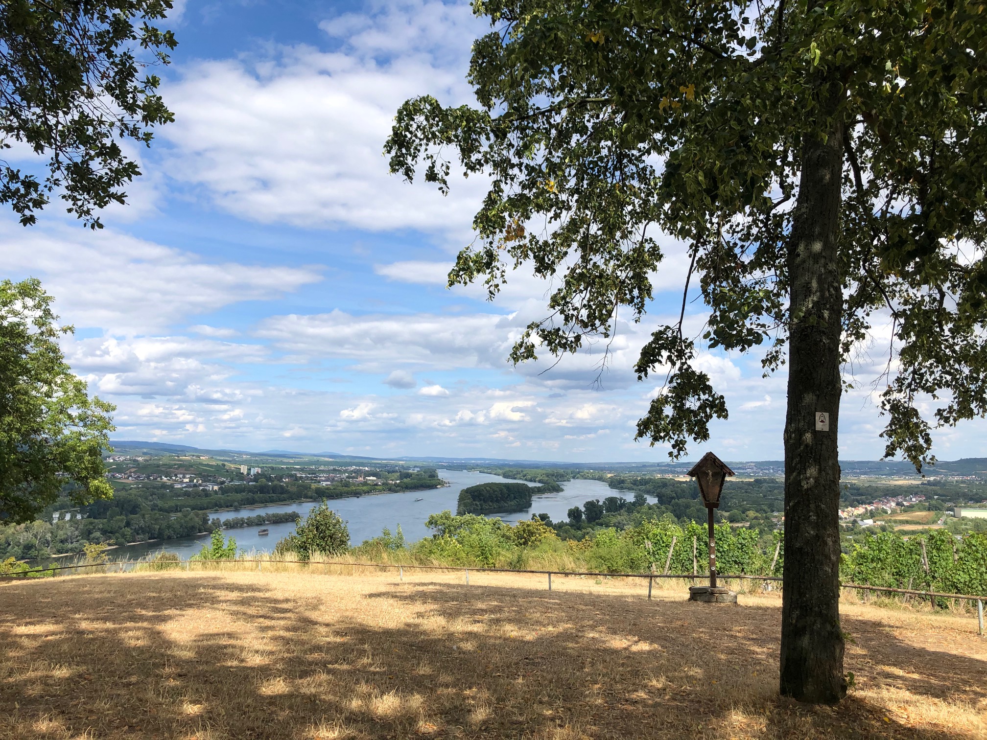 Blick viom Rochusberg