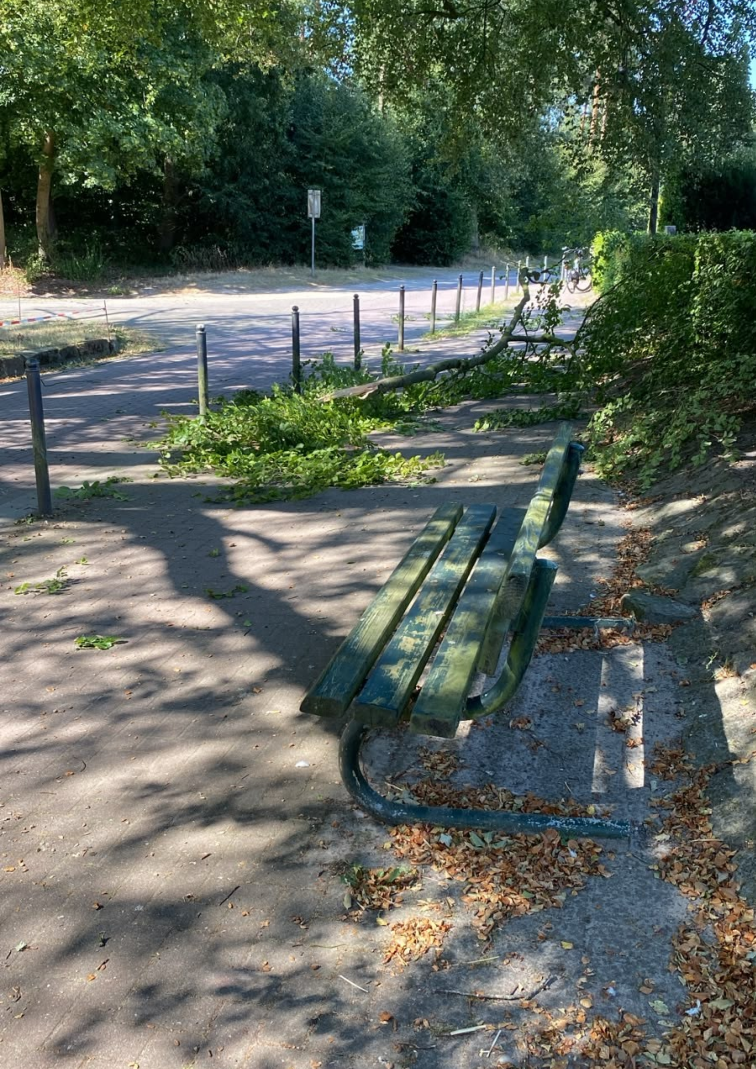 Ast auf Gehweg