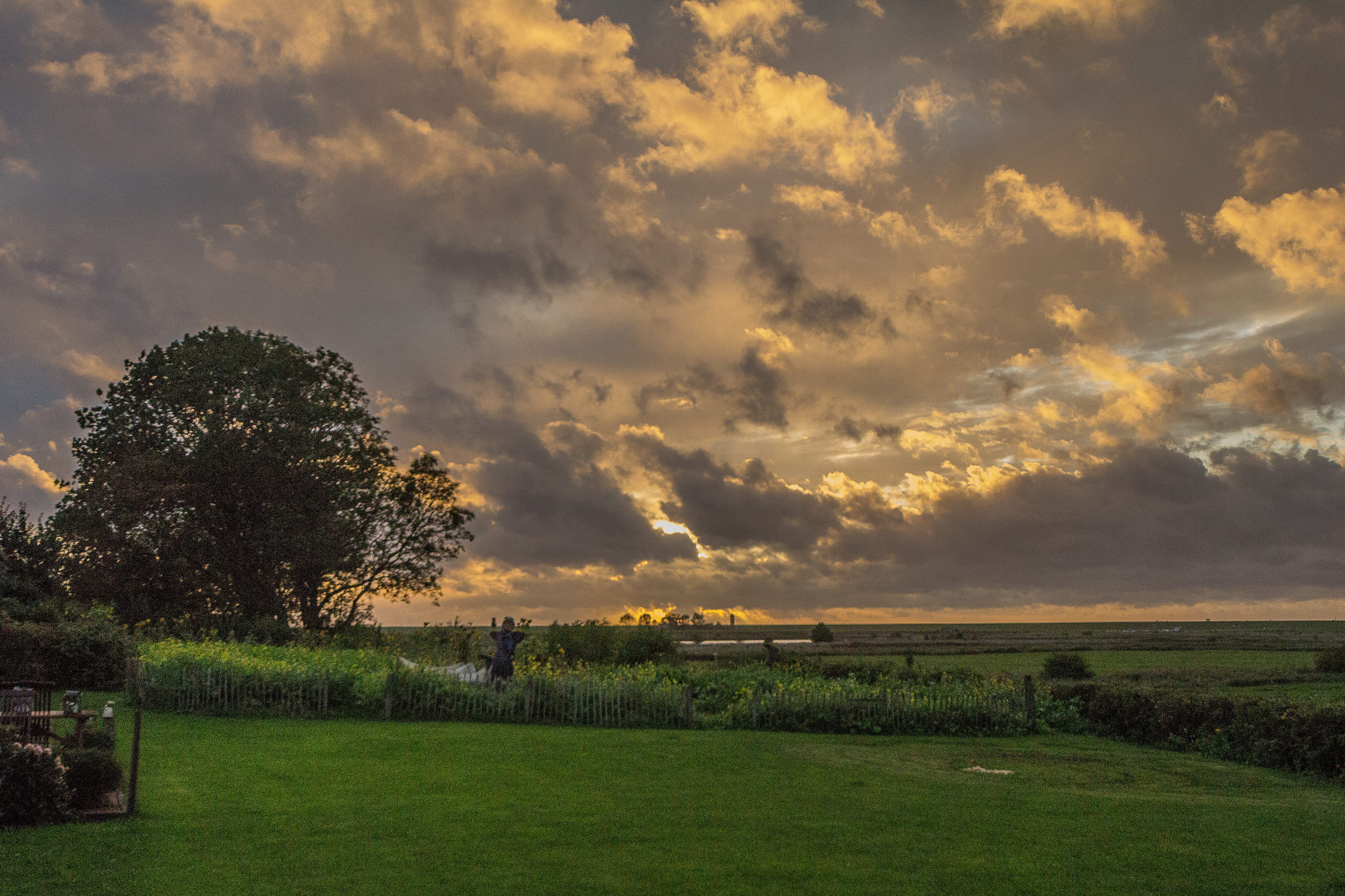 Sonnenuntergang im Garten