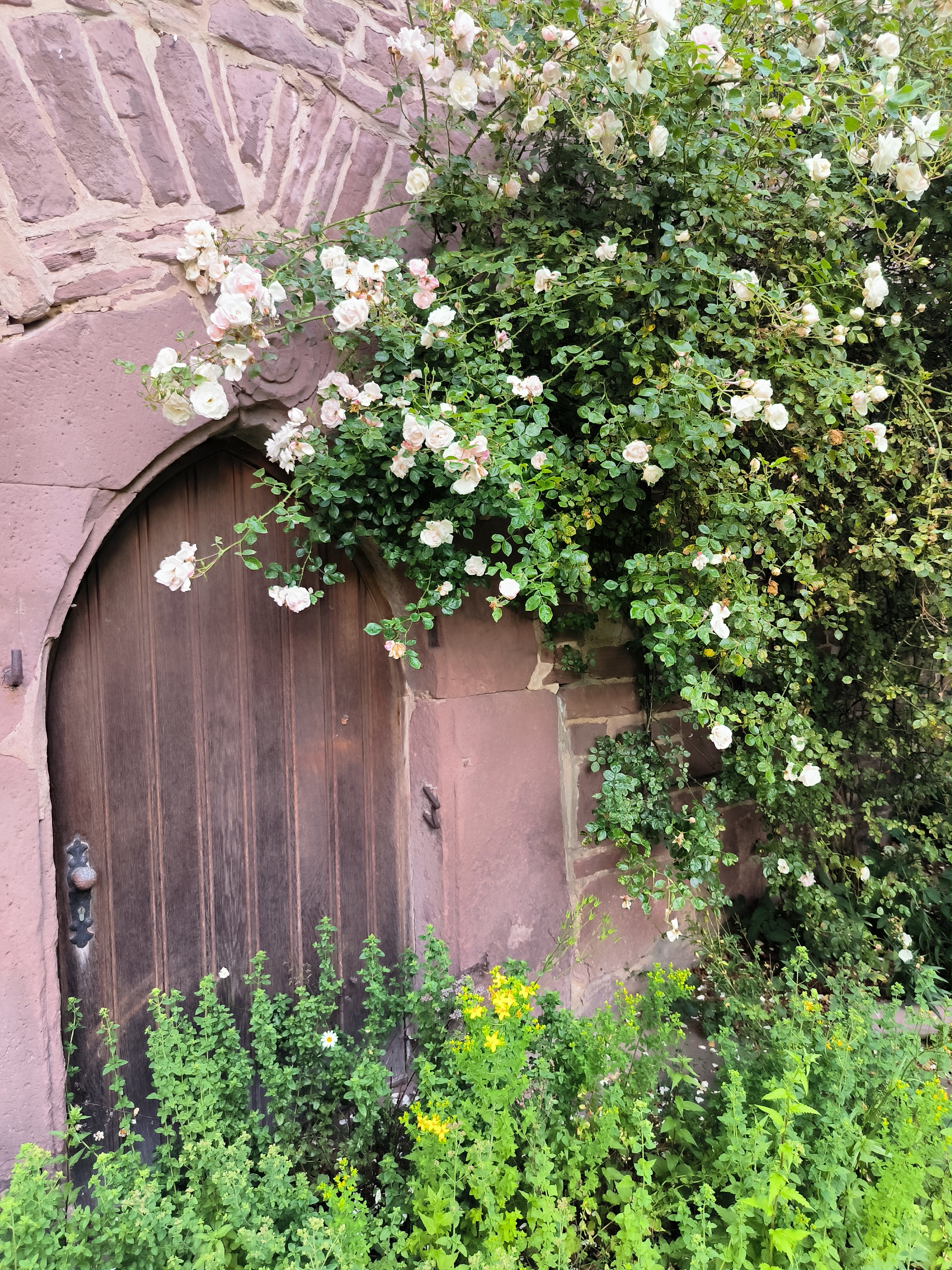 Pforte mit Rosen