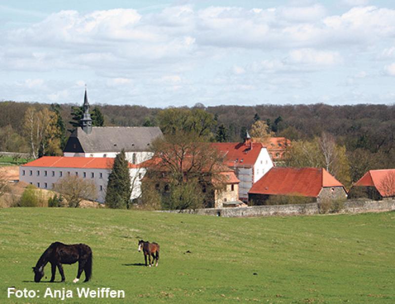 Neues "Institut für Spiritualität"