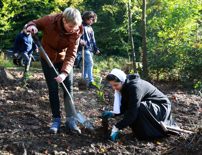 Kleine Setzlinge gegen den Klimawandel