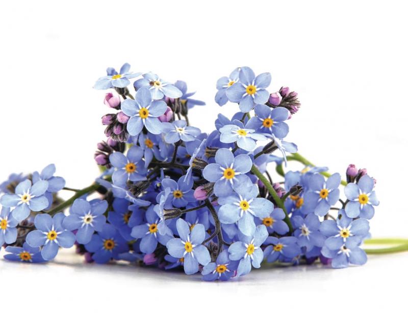 Dinge, die das Herz berühren