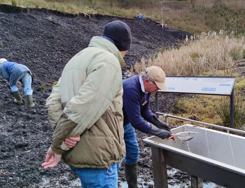 Blick in die Schöpfungsgeschichte