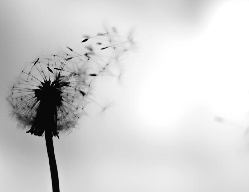 „Das ging alles viel zu schnell“