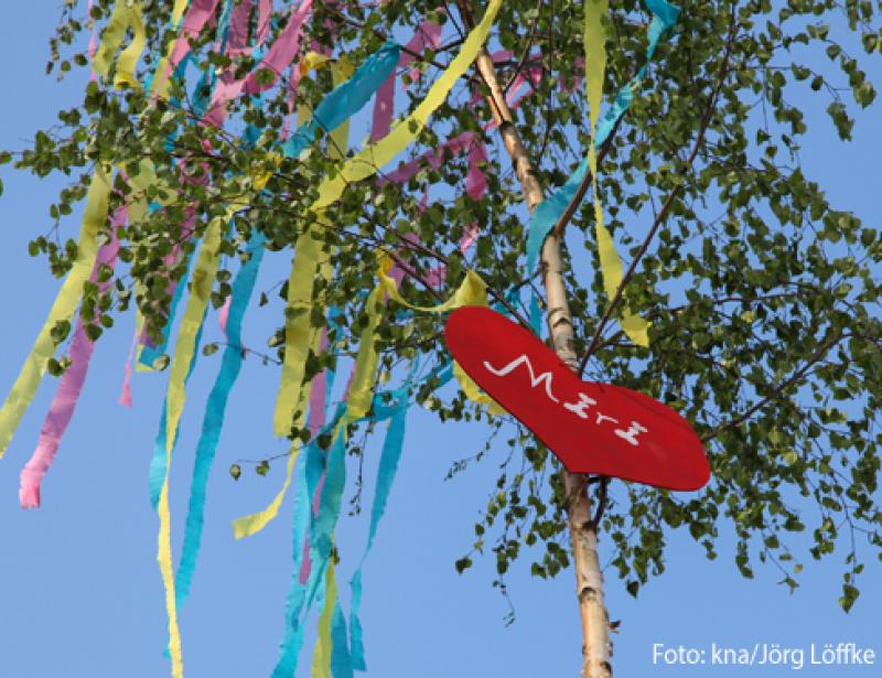 Maibaum für den guten Zweck 