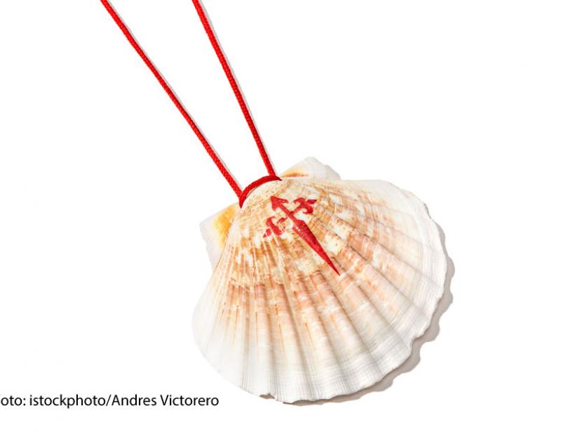 Mit Maske, Muschel und Selbsttest