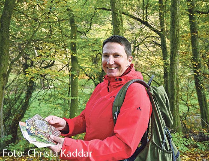 Auf Spurensuche im Wald