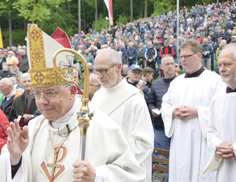 Viele heiße Eisen