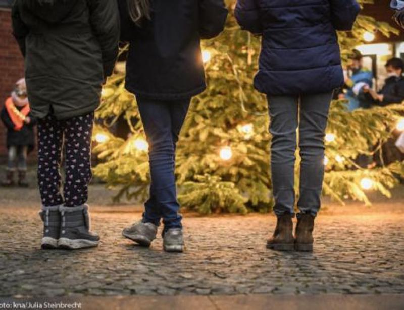 Weihnachtsbäume als Hoffnungszeichen