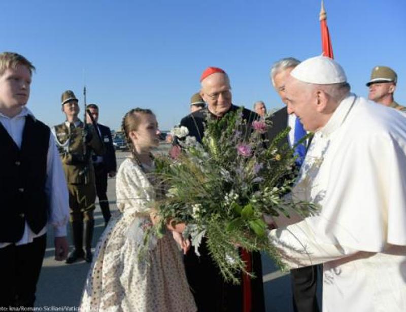 Ein willkommener Gast