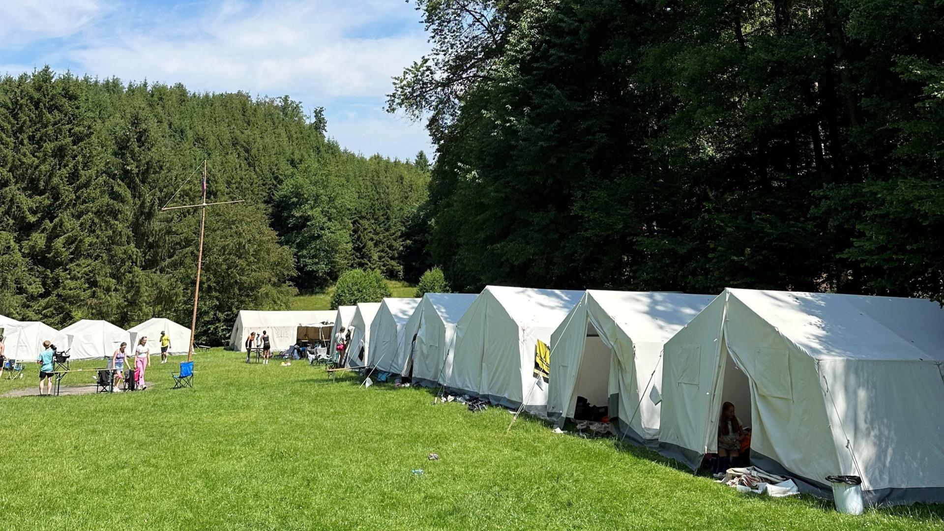 Viele weiße Zelte stehen am Waldrand auf einer Wiese.
