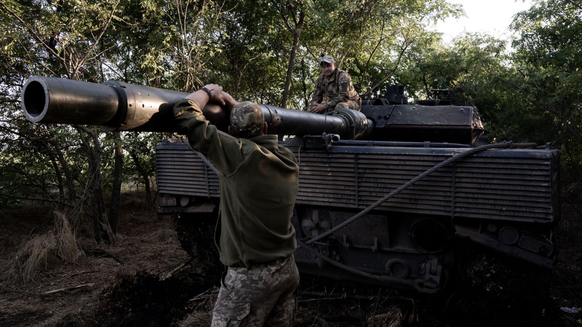 Ukraine: Panzer im Gebüsch