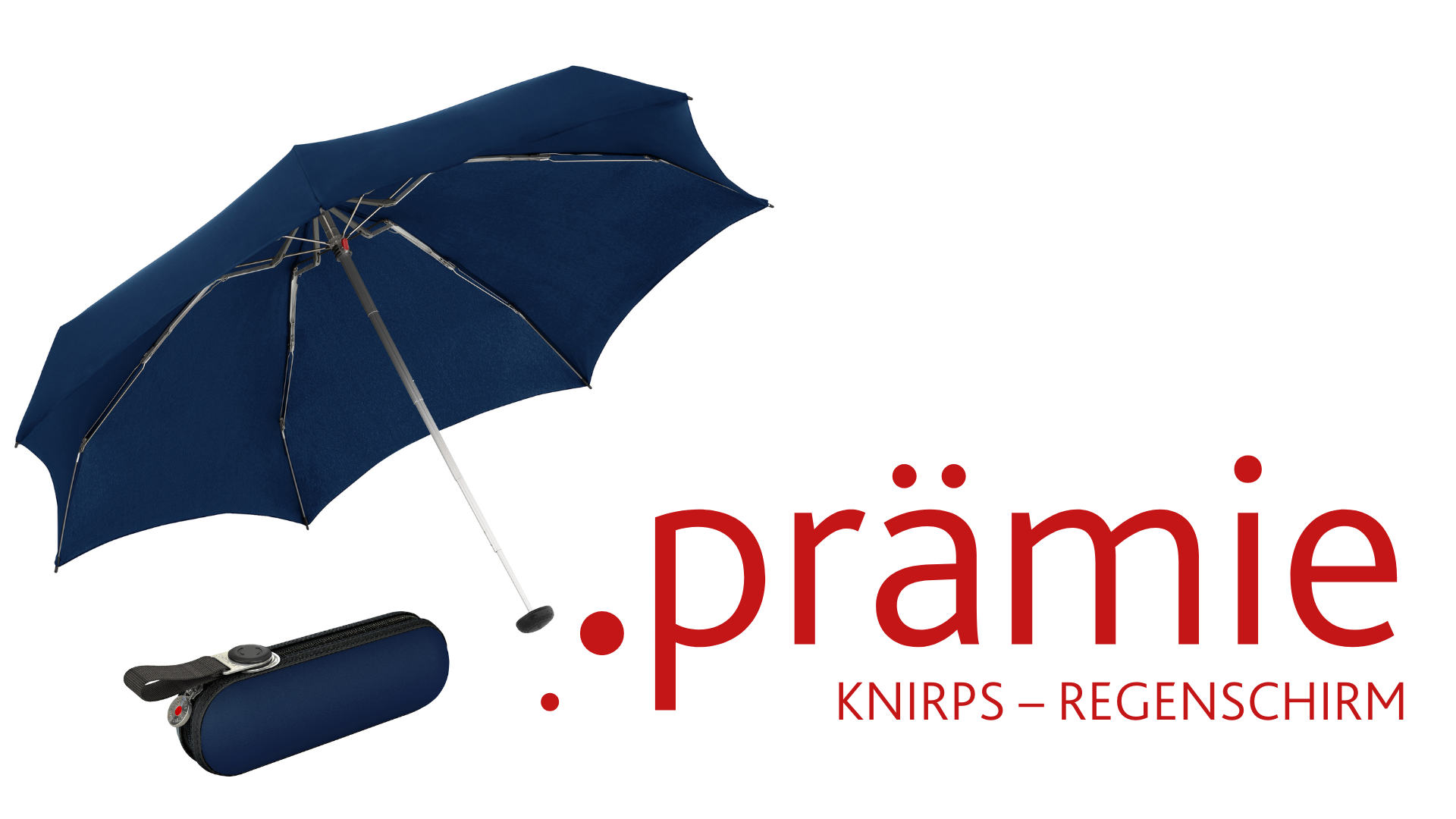 Knirps – Regenschirm