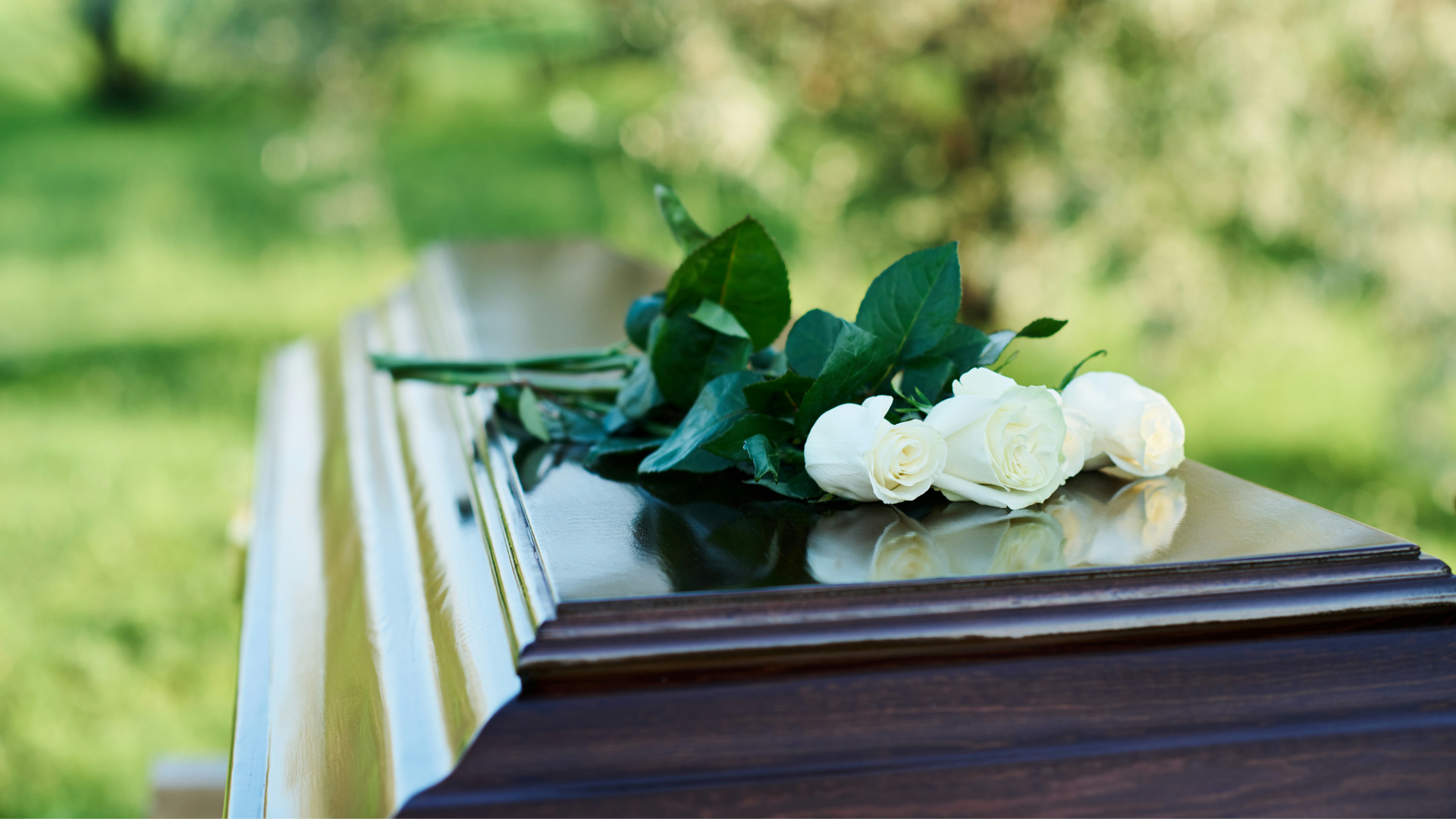 Sarg mit weißen Rosen