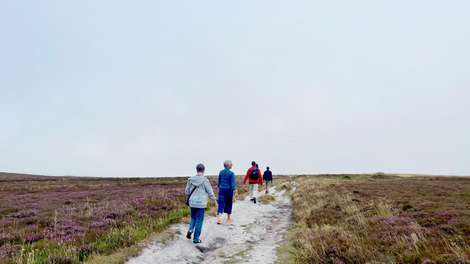Menschen spazieren durch Heidelandschaft.