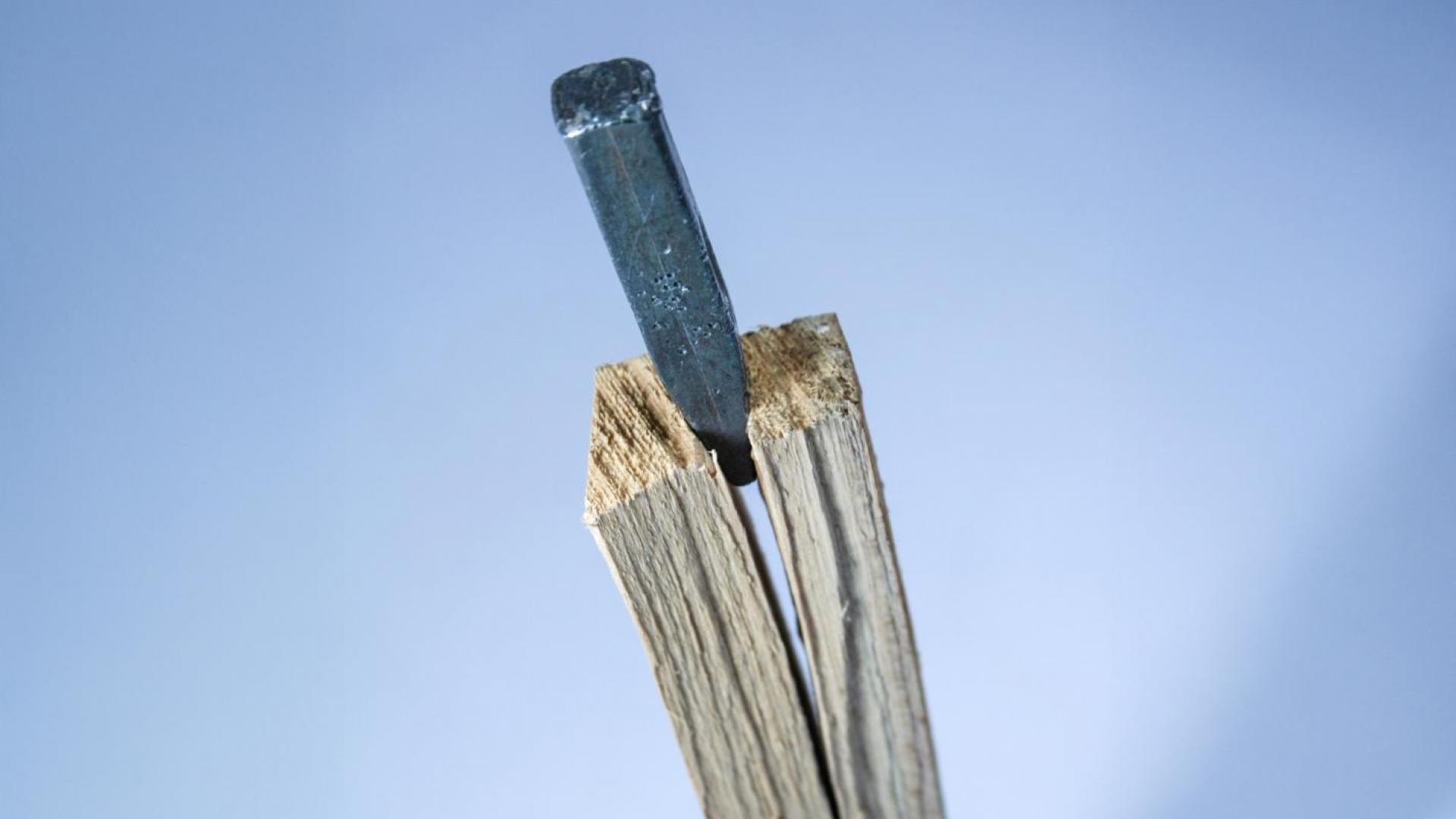 Keil im Holz