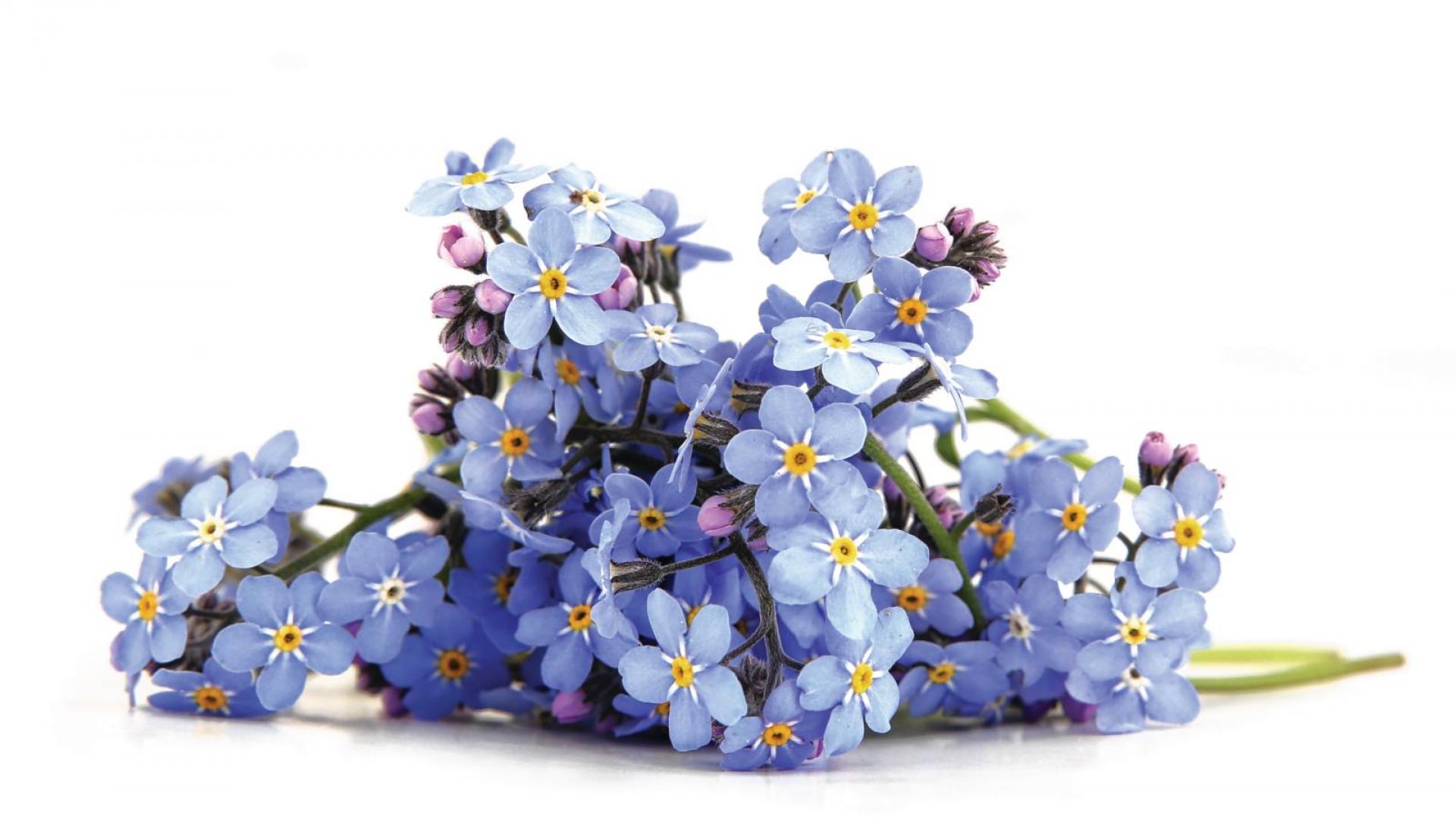 Dinge, die das Herz berühren