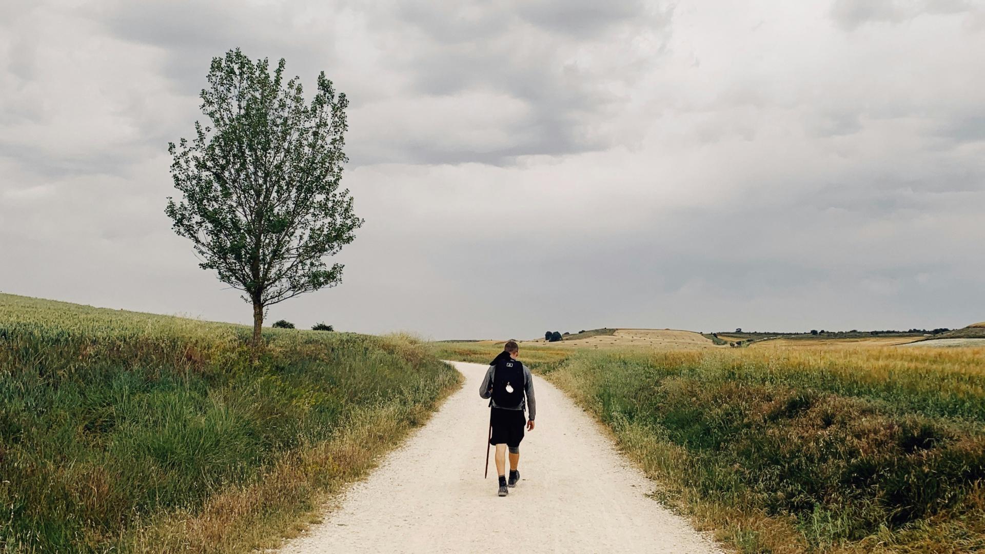 Mann wandert mit Stock auf Weg zwischen Wiesen