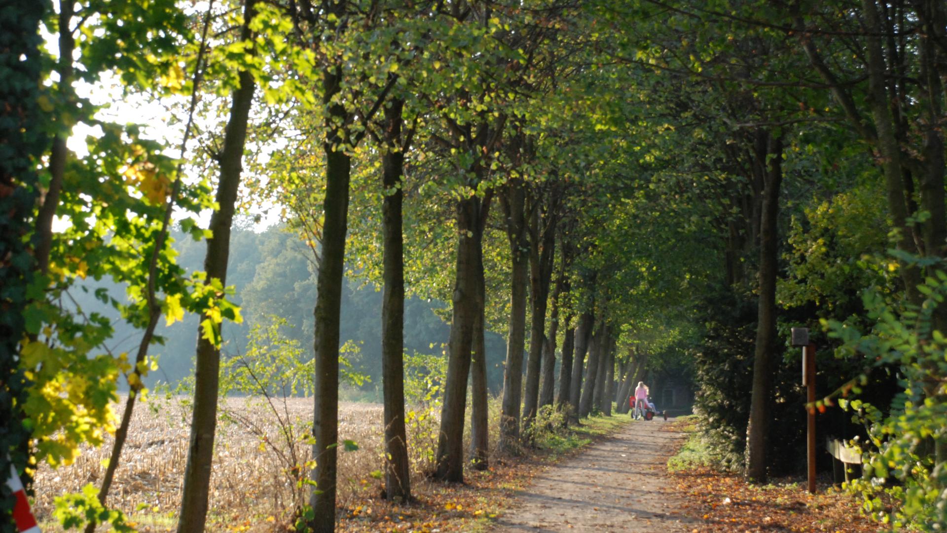 ein Weg